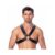 adjustable leather harness with buckles