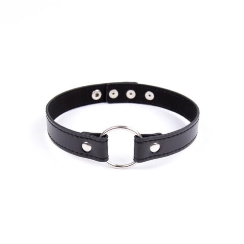 Collar with Hoop Adjustable 38