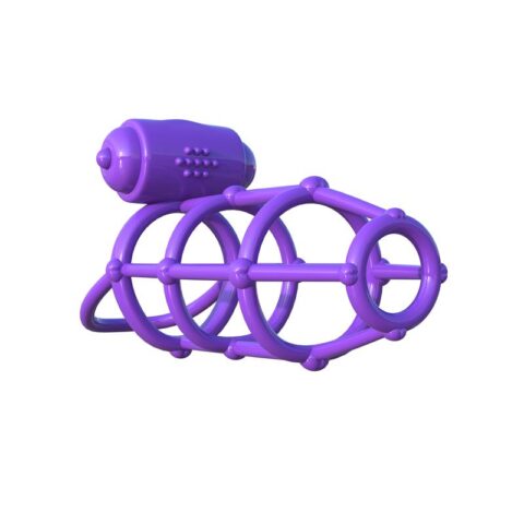 Fantasy C-Ringz Jaula Vibradora Climax Púrpura