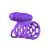 Fantasy C-Ringz Vibrating Couples Cage Purple