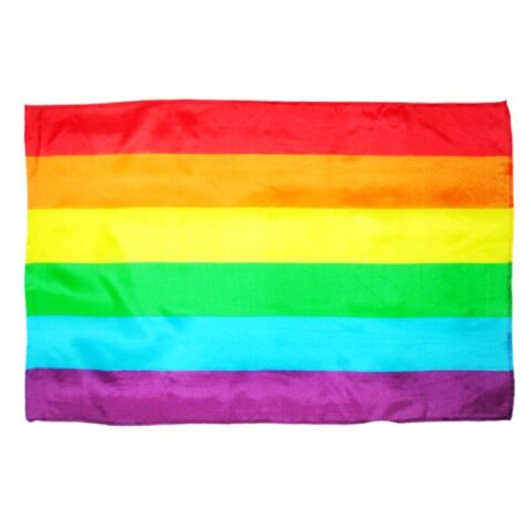 Flag Big LGBT+ Colors