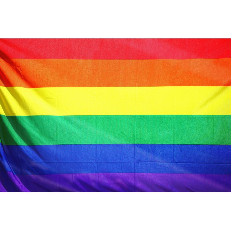 bandiera dell'orgoglio lgbt cm x 60 cm