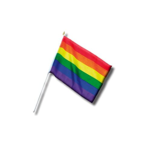 LGBT+ Pride Pennant Small 30 cm