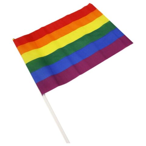 Közepes LMBT+ zászlós színek