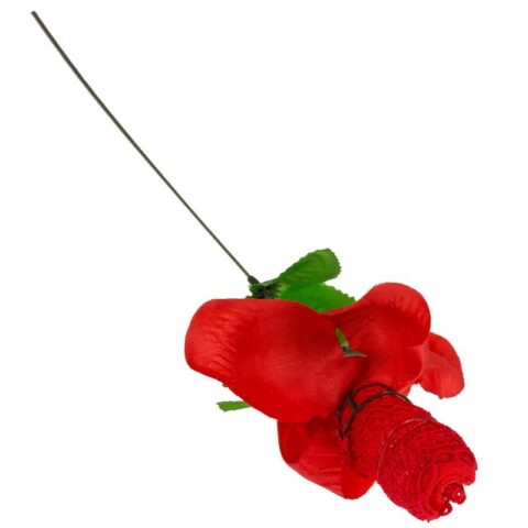 Róża z czerwonymi stringami