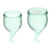Feel Secure Menstrual Cup Light Green Pack of 2 Feel Secure Menstrual Cup Light Green Pack of 2