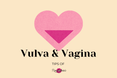 vulva and vagina