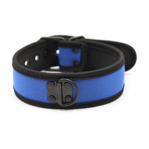 Neoprene Puppy Collar Adjustable Blue