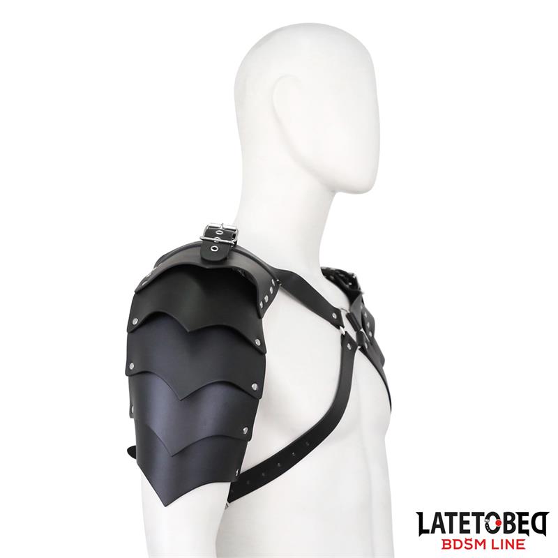 shoulder harness adjustable 9