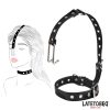 Collar with Nose Hook