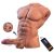 Fitter Torso with Detachable Dildom, Thrusting and APP 11.6 kg Fitter Torso with Detachable Dildom