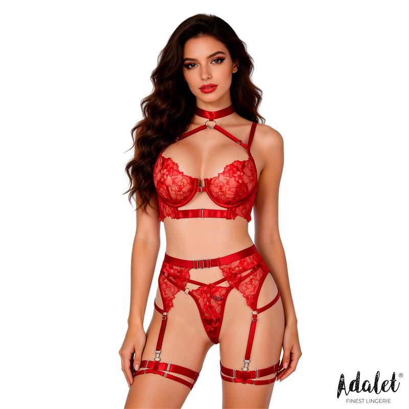 Completo reggiseno, reggicalze e perizoma Hyacinth rosso Hyacinth Bra Garter Set and Thong Red