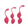 Set per allenamento con palline di Kegel Geneva Pink Kegel Balls Training Set Geneva Pink