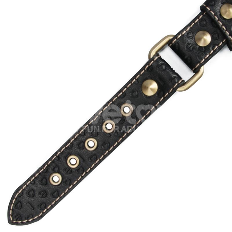 Rebellion Reign Collar with Chain Rebellion Reign Collar with Chain - Image 6