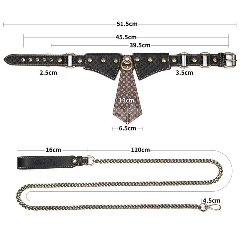 Rebellion Reign Collar with Chain Rebellion Reign Collar with Chain - Image 10