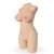 Miah Torso Vagina and Anus 11 kg